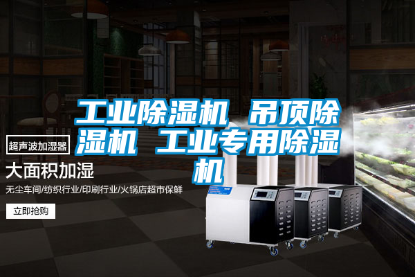 工業(yè)除濕機(jī) 吊頂除濕機(jī) 工業(yè)專用除濕機(jī)
