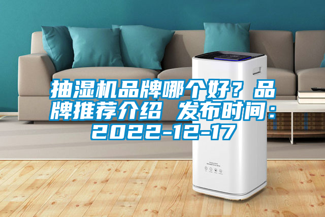 抽濕機品牌哪個好?品牌推薦介紹 發布時間:2022-12-17