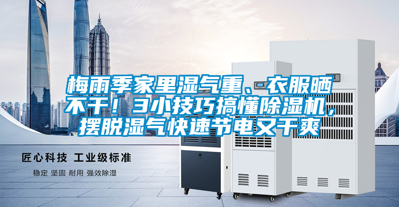 梅雨季家里濕氣重、衣服曬不干！3小技巧搞懂除濕機，擺脫濕氣快速節電又干爽