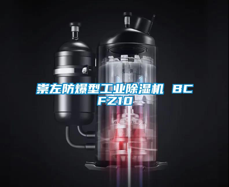崇左防爆型工業除濕機 BCFZ10