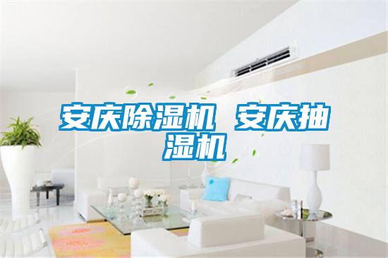 安慶除濕機 安慶抽濕機
