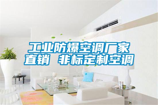 工業防爆空調廠家直銷 非標定制空調