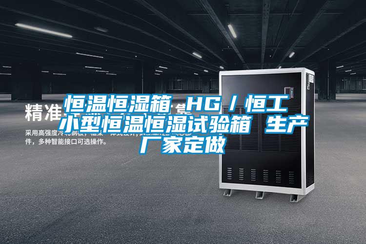 恒溫恒濕箱 HG/恒工 小型恒溫恒濕試驗箱 生產廠家定做
