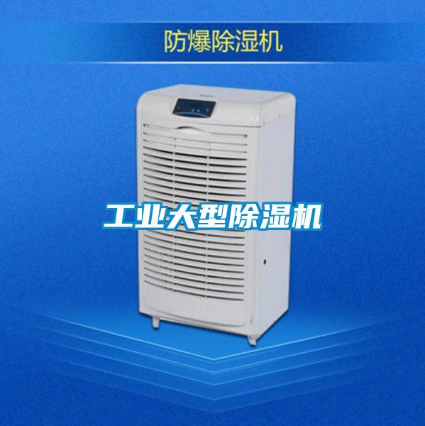 工業大型除濕機