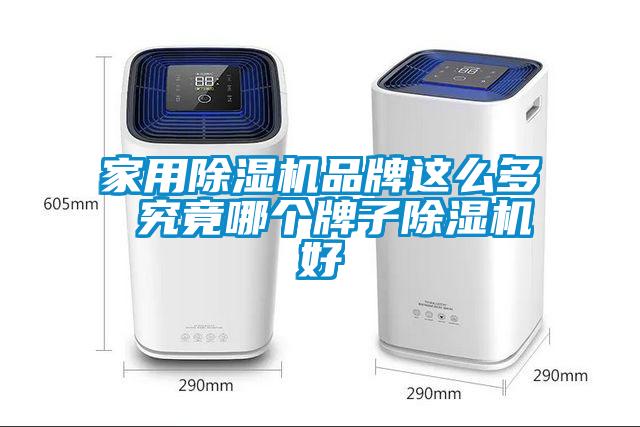 家用除濕機品牌這么多 究竟哪個牌子除濕機好