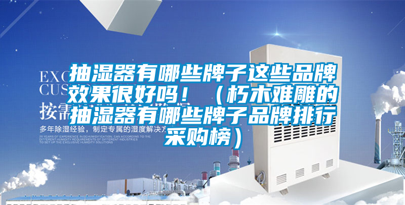 抽濕器有哪些牌子這些品牌效果很好嗎！（朽木難雕的抽濕器有哪些牌子品牌排行采購榜）