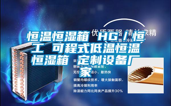恒溫恒濕箱 HG/恒工 可程式低溫恒溫恒濕箱 定制設備廠家