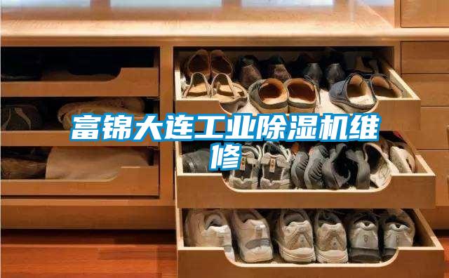 富錦大連工業除濕機維修