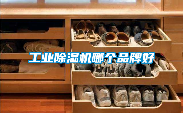 工業(yè)除濕機(jī)哪個品牌好