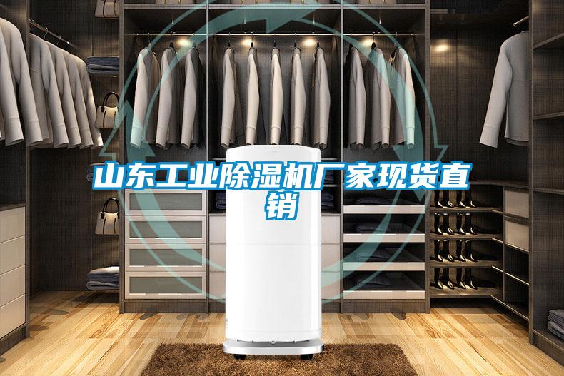 山東工業(yè)除濕機(jī)廠家現(xiàn)貨直銷