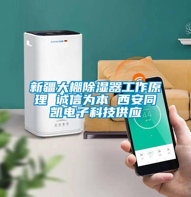 新疆大棚除濕器工作原理 誠信為本 西安同凱電子科技供應(yīng)