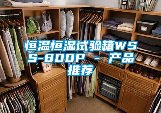 恒溫恒濕試驗箱WSS-800P - 產品推薦