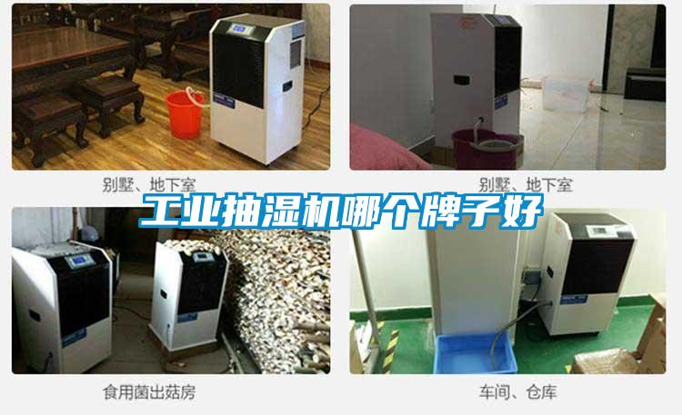 工業抽濕機哪個牌子好