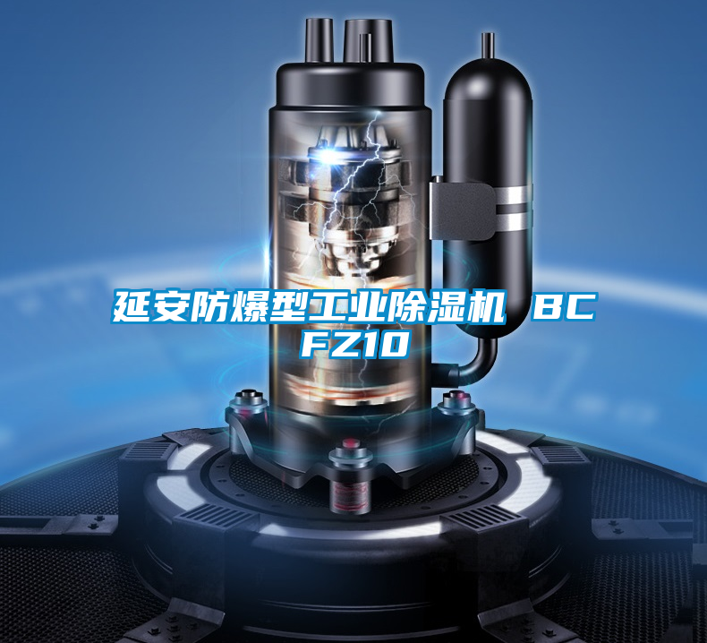 延安防爆型工業除濕機 BCFZ10