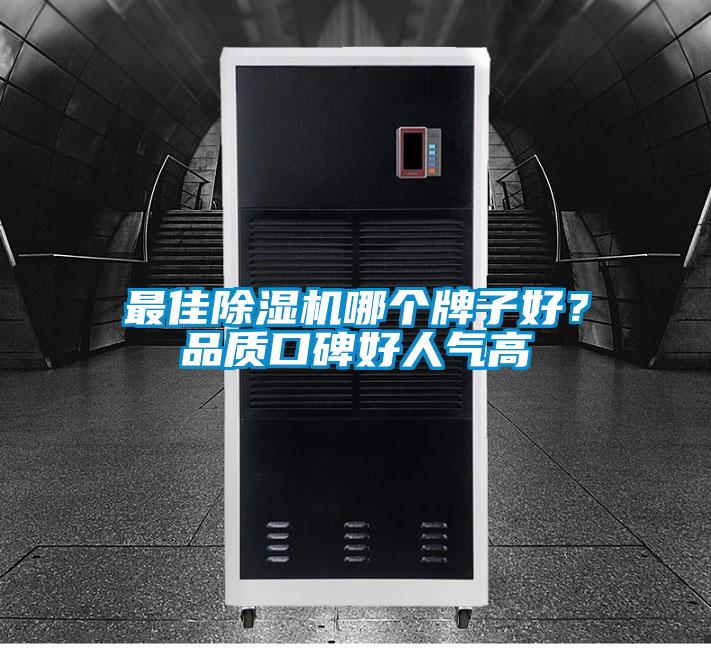 最佳除濕機哪個牌子好?品質口碑好人氣高