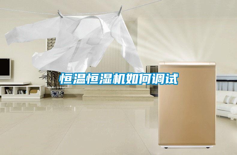 恒溫恒濕機如何調試