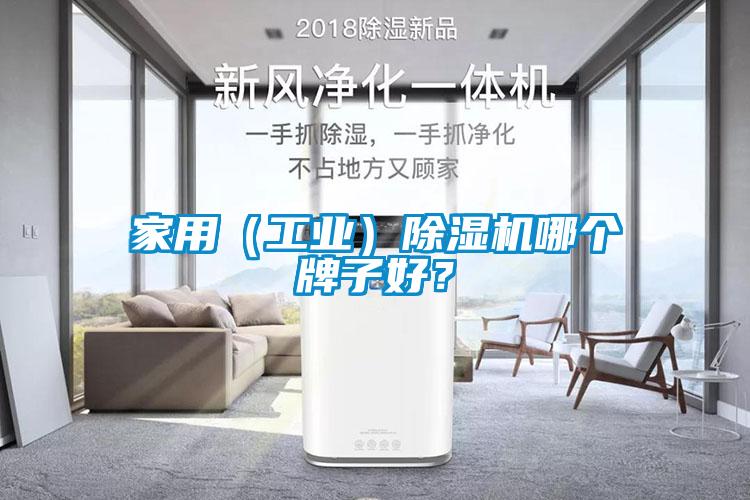 家用(工業)除濕機哪個牌子好?
