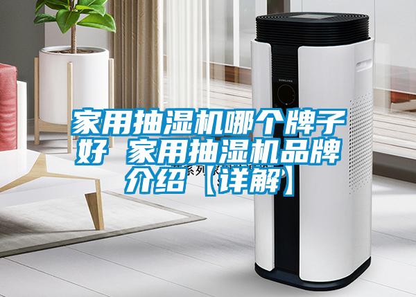 家用抽濕機哪個牌子好 家用抽濕機品牌介紹【詳解】