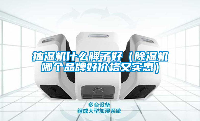 抽濕機(jī)什么牌子好(除濕機(jī)哪個品牌好價格又實(shí)惠)