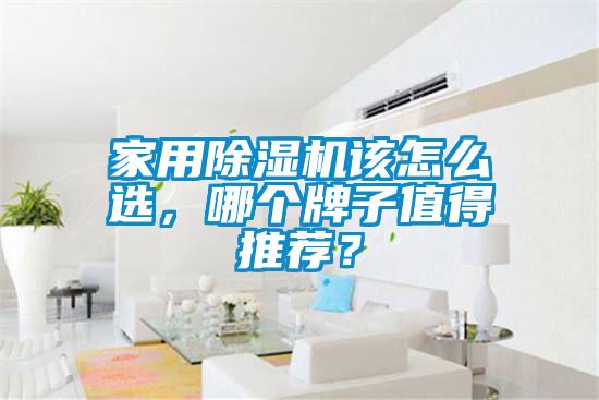 家用除濕機該怎么選，哪個牌子值得推薦？