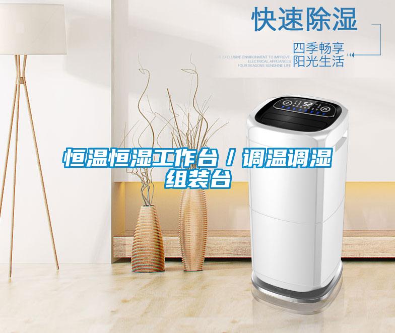 恒溫恒濕工作臺/調溫調濕組裝臺
