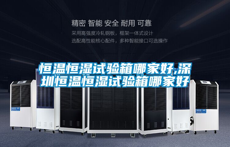 恒溫恒濕試驗箱哪家好,深圳恒溫恒濕試驗箱哪家好