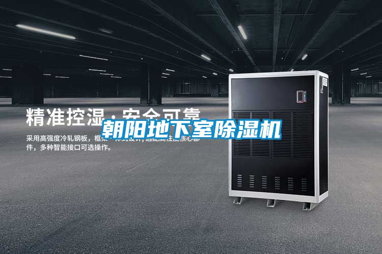 朝陽地下室除濕機