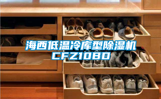 海西低溫冷庫型除濕機CFZ10BD