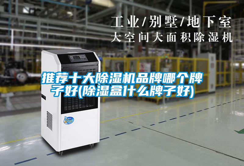 推薦十大除濕機品牌哪個牌子好(除濕盒什么牌子好)