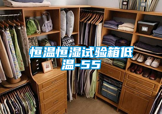 恒溫恒濕試驗箱低溫-55℃