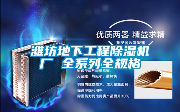 濰坊地下工程除濕機(jī)廠(chǎng) 全系列全規(guī)格