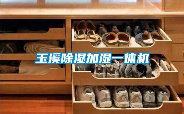 玉溪除濕加濕一體機