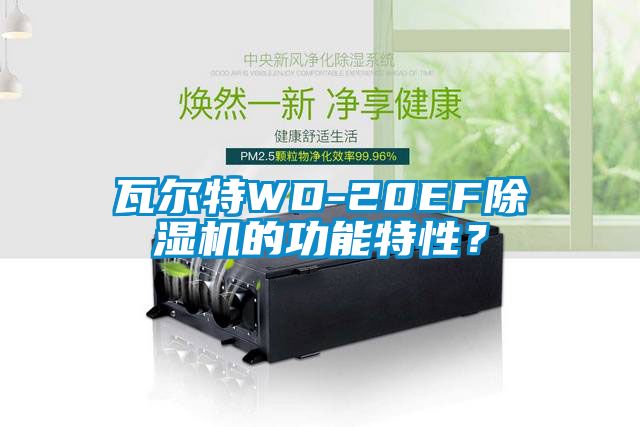 瓦爾特WD-20EF除濕機的功能特性？