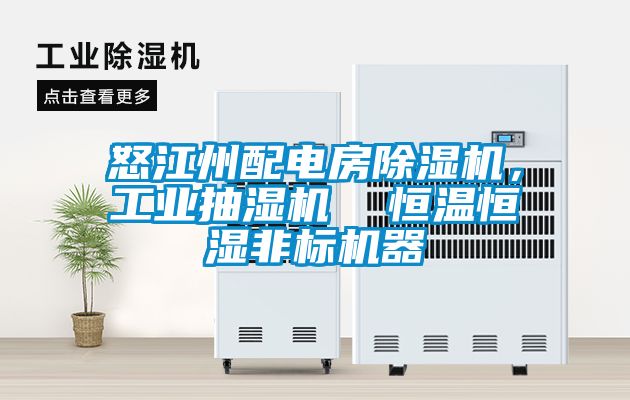 怒江州配電房除濕機,工業抽濕機 恒溫恒濕非標機器