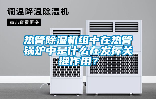 熱管除濕機組中在熱管鍋爐中是什么在發揮關鍵作用?