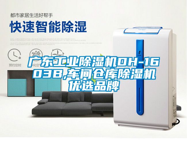 廣東工業(yè)除濕機DH-1603B,車間倉庫除濕機優(yōu)選品牌