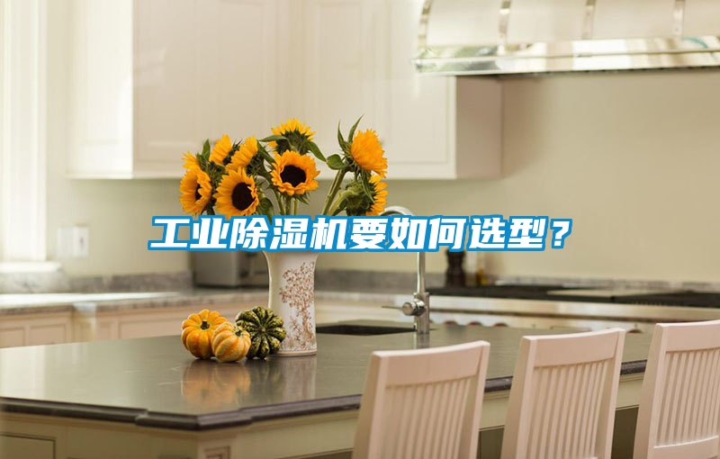 工業除濕機要如何選型?