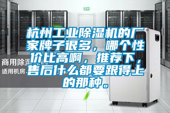 杭州工業除濕機的廠家牌子很多，哪個性價比高啊，推薦下，售后什么都要跟得上的那種。