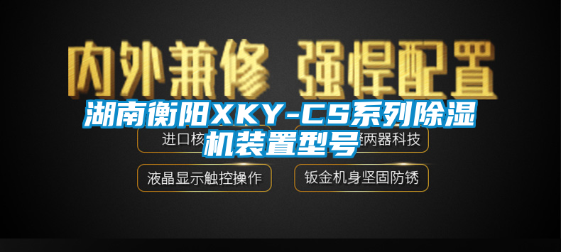 湖南衡陽XKY-CS系列除濕機裝置型號