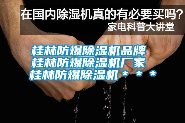 桂林防爆除濕機品牌 桂林防爆除濕機廠家 桂林防爆除濕機＊＊＊