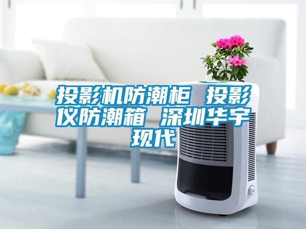 投影機防潮柜 投影儀防潮箱 深圳華宇現(xiàn)代