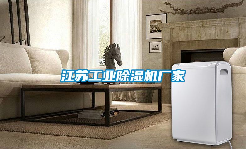 江蘇工業(yè)除濕機廠家