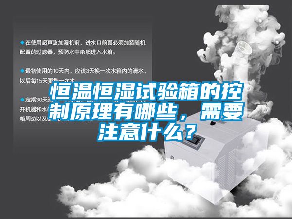 恒溫恒濕試驗(yàn)箱的控制原理有哪些,需要注意什么?
