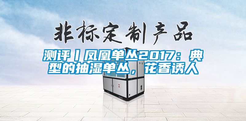 測評丨鳳凰單叢2017：典型的抽濕單叢，花香誘人