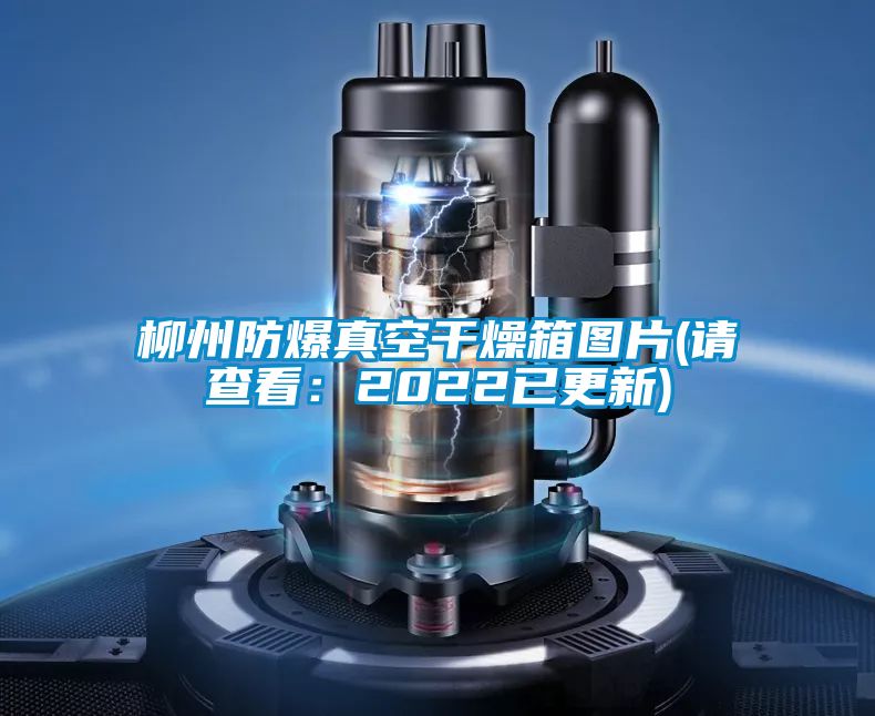 柳州防爆真空干燥箱圖片(請查看：2022已更新)