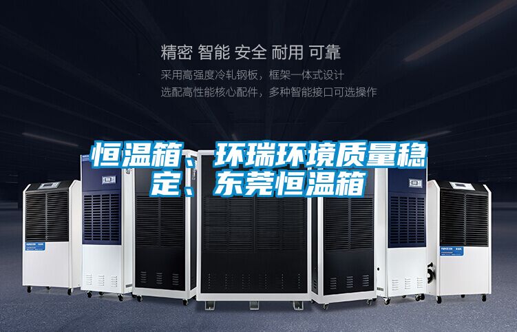 恒溫箱、環瑞環境質量穩定、東莞恒溫箱