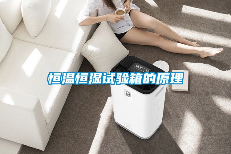 恒溫恒濕試驗箱的原理