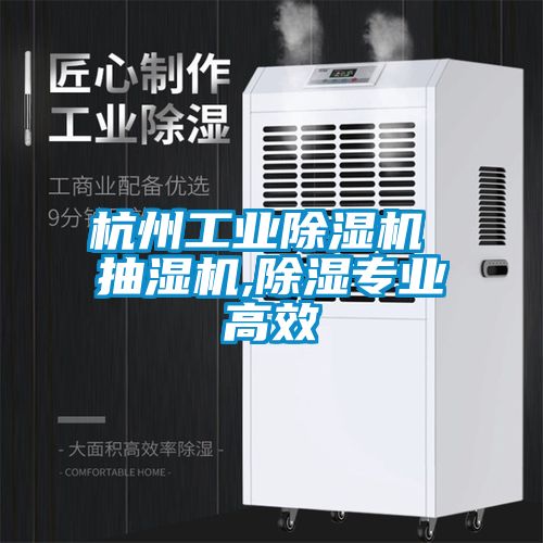 杭州工業(yè)除濕機(jī) 抽濕機(jī),除濕專業(yè)高效