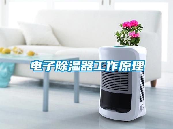 電子除濕器工作原理