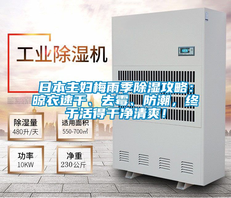 日本主婦梅雨季除濕攻略：晾衣速干、去霉、防潮，終于活得干凈清爽！